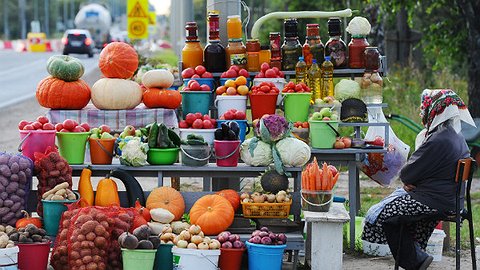 Окна Росстата: вид на жительство